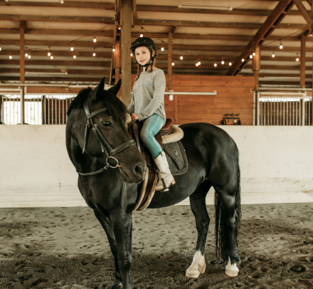 HorseID: 2306357 Flying Feathers Fianna - PhotoID: 1090051