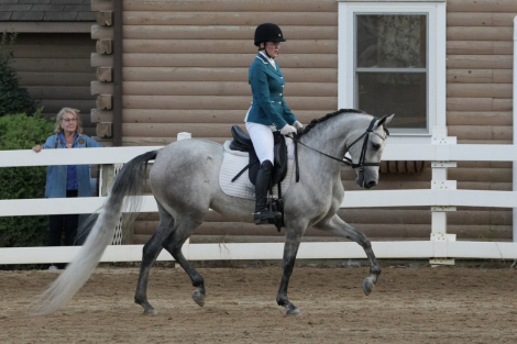 HorseID: 2306359 Vanguard Windsong - PhotoID: 1090052