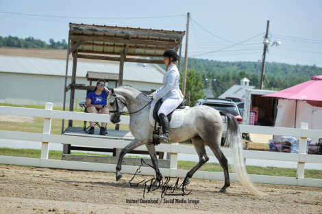 HorseID: 2306359 Vanguard Windsong - PhotoID: 1090054