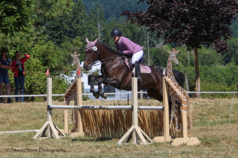 HorseID: 2306370 Jessica Rabbit - PhotoID: 1090062