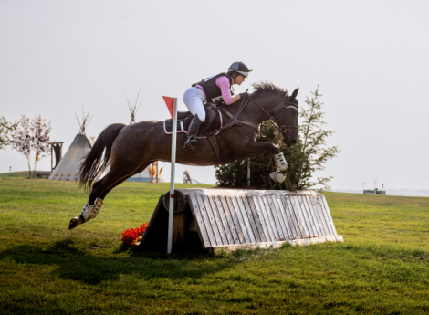 HorseID: 2306370 Jessica Rabbit - PhotoID: 1090063