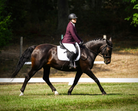 HorseID: 2306370 Jessica Rabbit - PhotoID: 1090064