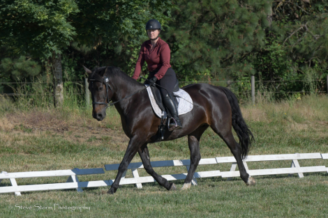 HorseID: 2306370 Jessica Rabbit - PhotoID: 1090065