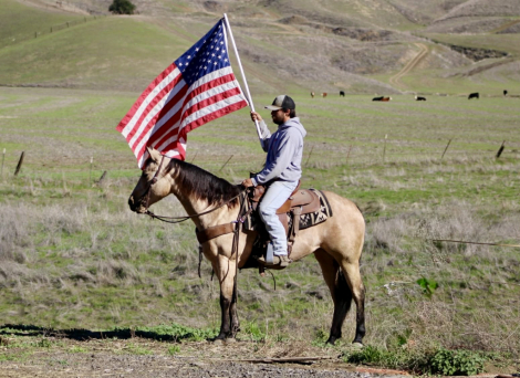 HorseID: 2306387 Gotta Be Electric - PhotoID: 1090082