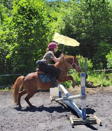 HorseID: 2306393 Tycoon - PhotoID: 1090704