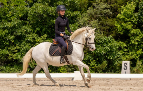 HorseID: 2306397 Judge Parker SA - PhotoID: 1090096