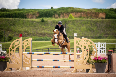 HorseID: 2306398 Whiskey - PhotoID: 1090097