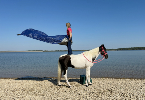 HorseID: 2306411 Moonpie - PhotoID: 1090118