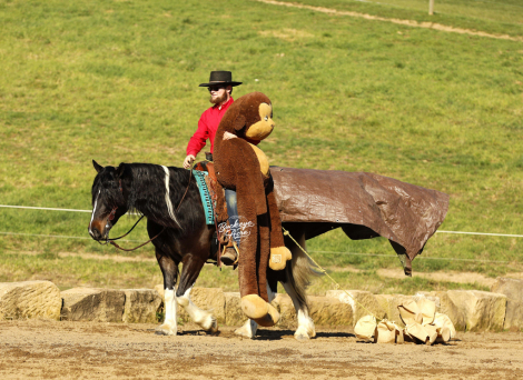 HorseID: 2306426 Nacho - PhotoID: 1090138