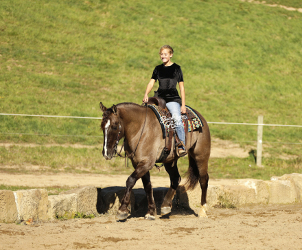 HorseID: 2306427 Cheeko - PhotoID: 1090139