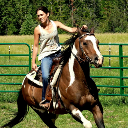 HorseID: 2306434 Lexon - PhotoID: 1090151