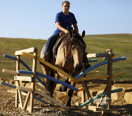 HorseID: 2306448 Sage - PhotoID: 1090167