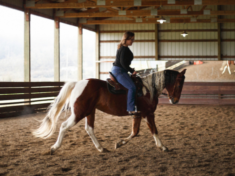 HorseID: 2306454 Reach - PhotoID: 1090170