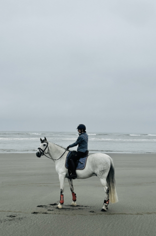 HorseID: 2306459 Primo - PhotoID: 1090181