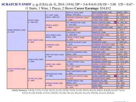 HorseID: 2306466 Scratch N Sniff - PhotoID: 1090193