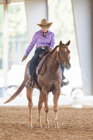 HorseID: 2306489 Mayhem Lyke Me - PhotoID: 1090841