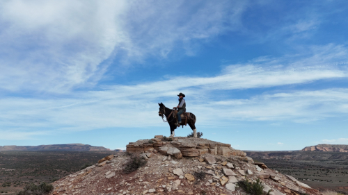 HorseID: 2306490 Pita - PhotoID: 1090215