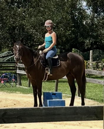 HorseID: 2306519 Lena's Jazz - PhotoID: 1090232