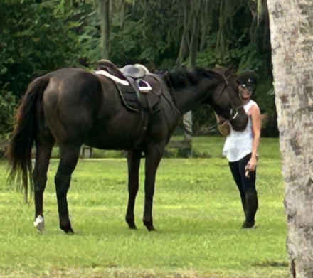 HorseID: 2306519 Lena's Jazz - PhotoID: 1090233