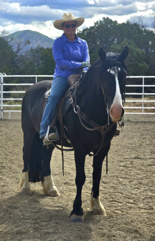 HorseID: 2306546 Black Jax - PhotoID: 1090268