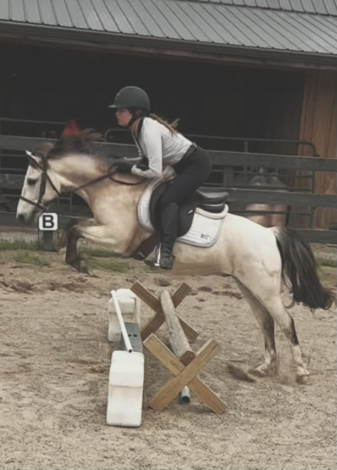 HorseID: 2306566 FRF THE COURAGEOUS - PhotoID: 1090290