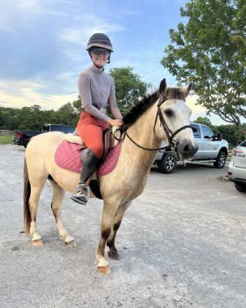 HorseID: 2306566 FRF THE COURAGEOUS - PhotoID: 1090291