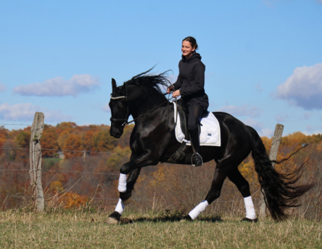 HorseID: 2306578 Midnight Jewels - PhotoID: 1090301