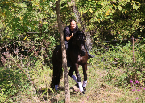 HorseID: 2306578 Midnight Jewels - PhotoID: 1090303