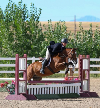 HorseID: 2306609 LDYBUG CAN YOU DIG IT - PhotoID: 1090333