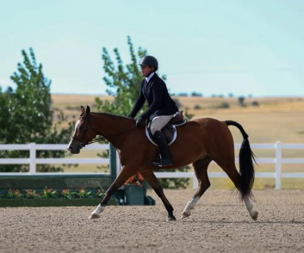 HorseID: 2306609 LDYBUG CAN YOU DIG IT - PhotoID: 1090334