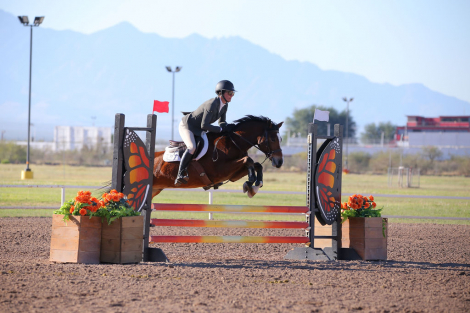 HorseID: 2306609 LDYBUG CAN YOU DIG IT - PhotoID: 1090336