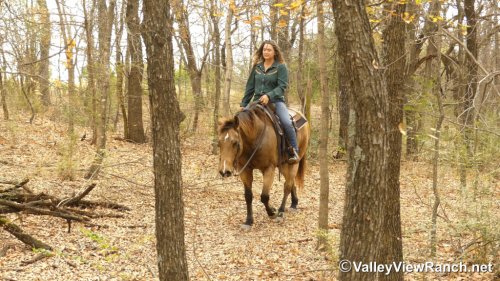 HorseID: 2306613 Huckleberry - PhotoID: 1090348