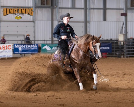 HorseID: 2306619 Custom Bang - PhotoID: 1090367