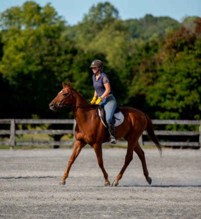 HorseID: 2306620 Candy’s Majesty - PhotoID: 1090372