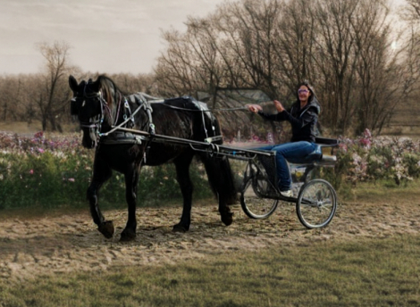 HorseID: 2306657 Zena - PhotoID: 1090406