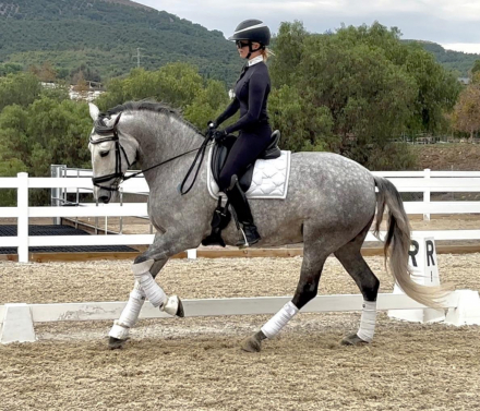 HorseID: 2306658 Kabileña De Vida - PhotoID: 1090411