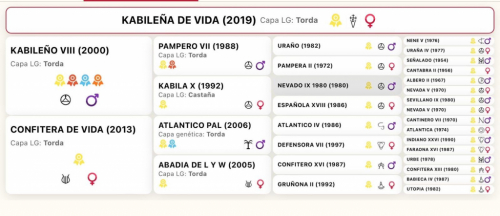 HorseID: 2306658 Kabileña De Vida - PhotoID: 1090414