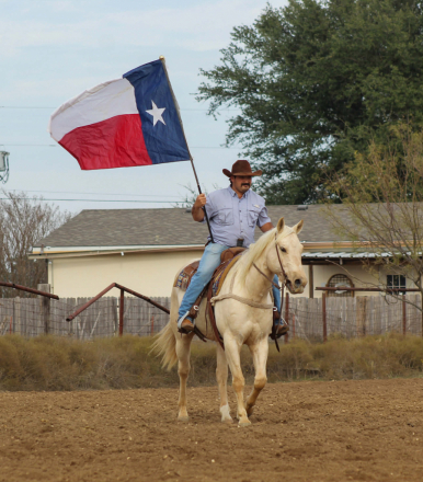 HorseID: 2306693 Cheddar M$ - PhotoID: 1090472