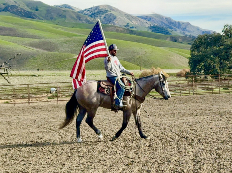 HorseID: 2306695 Rogerbeplum LHR - PhotoID: 1090481