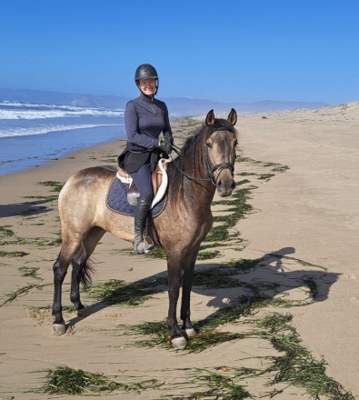 HorseID: 2306717 Scout - PhotoID: 1090469