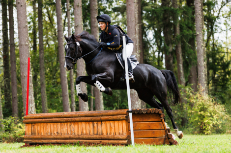 HorseID: 2306718 PD Badger - PhotoID: 1090486