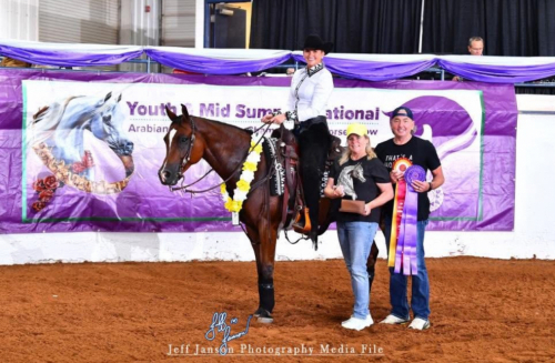 HorseID: 2306741 Khalil Alibadayer - PhotoID: 1090501