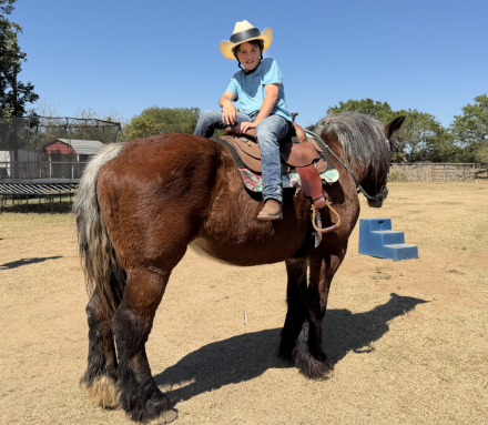 HorseID: 2306752 Freyja - PhotoID: 1090513