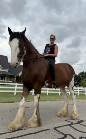 HorseID: 2306754 Sweet Sprinkles - PhotoID: 1090515