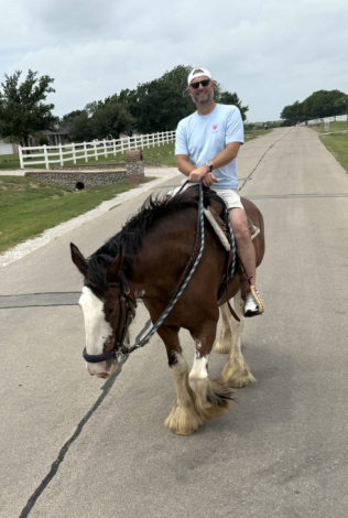 HorseID: 2306754 Sweet Sprinkles - PhotoID: 1090516