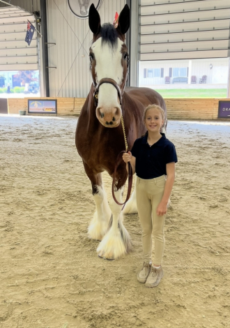 HorseID: 2306754 Sweet Sprinkles - PhotoID: 1090559