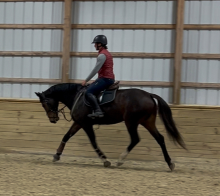 HorseID: 2306761 Question Authority - PhotoID: 1090525