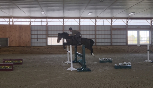 HorseID: 2306761 Question Authority - PhotoID: 1090526