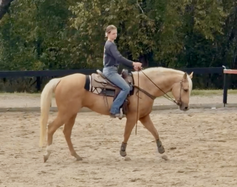 HorseID: 2306772 Peanuts On Fire - PhotoID: 1090535