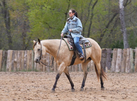 HorseID: 2306778 Hook Line and Sinker - PhotoID: 1090537